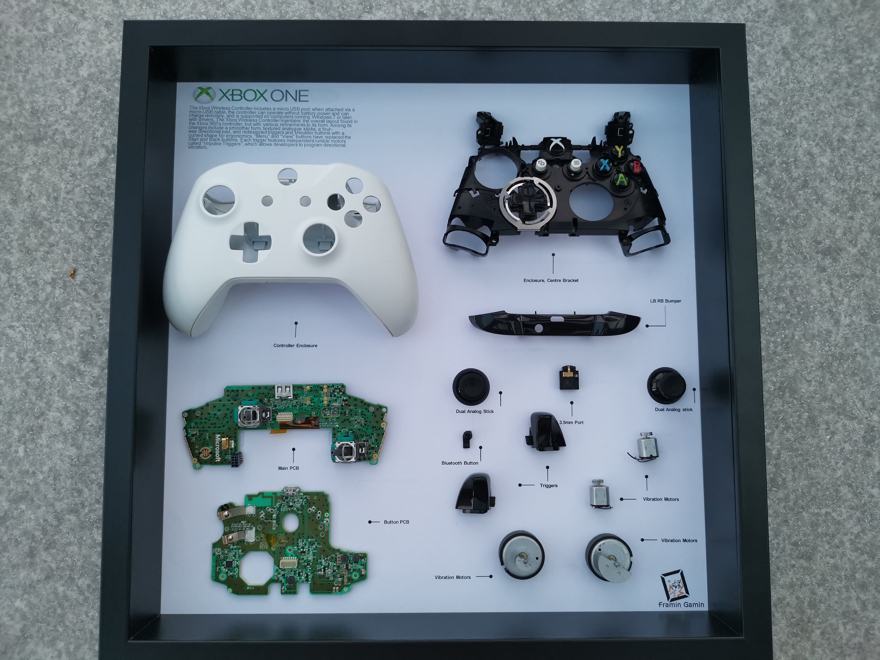 Monoton Un prieten bun Oxid how to disassemble xbox controller Zdrobi ...