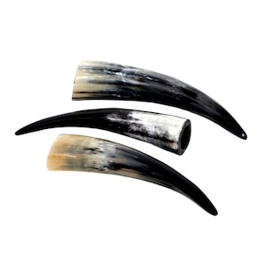 1 B-stock cow horn 15 - 50 cm Noble cow horns cattle horns bull horns polished trophy hunting cow horn XXL cow bull medieval horns