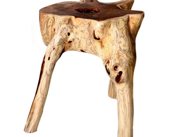 Design burl wood stool teak made from one piece, solid, unique side table, burl wood stool, wooden block, real wood, natural teak