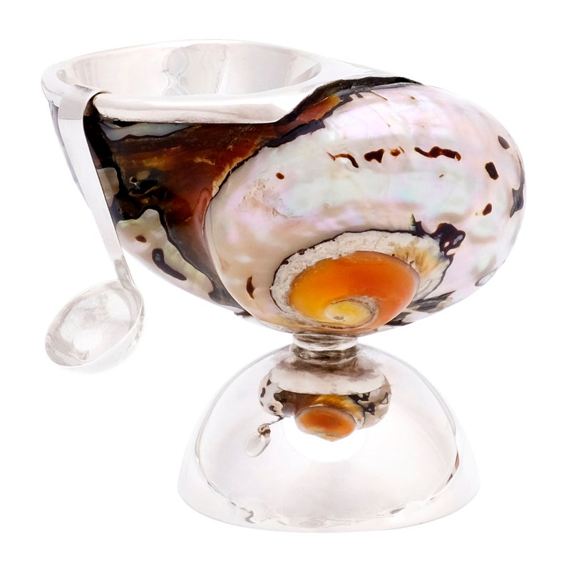 Deluxe salt shaker original snail mini small 925 sterling Etsy