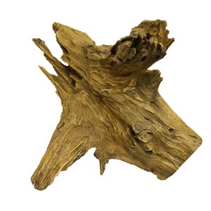 Extraordinary real teak root decoration sculpture teak wood root unique solid figure decorative figure unique teak root wood decoration