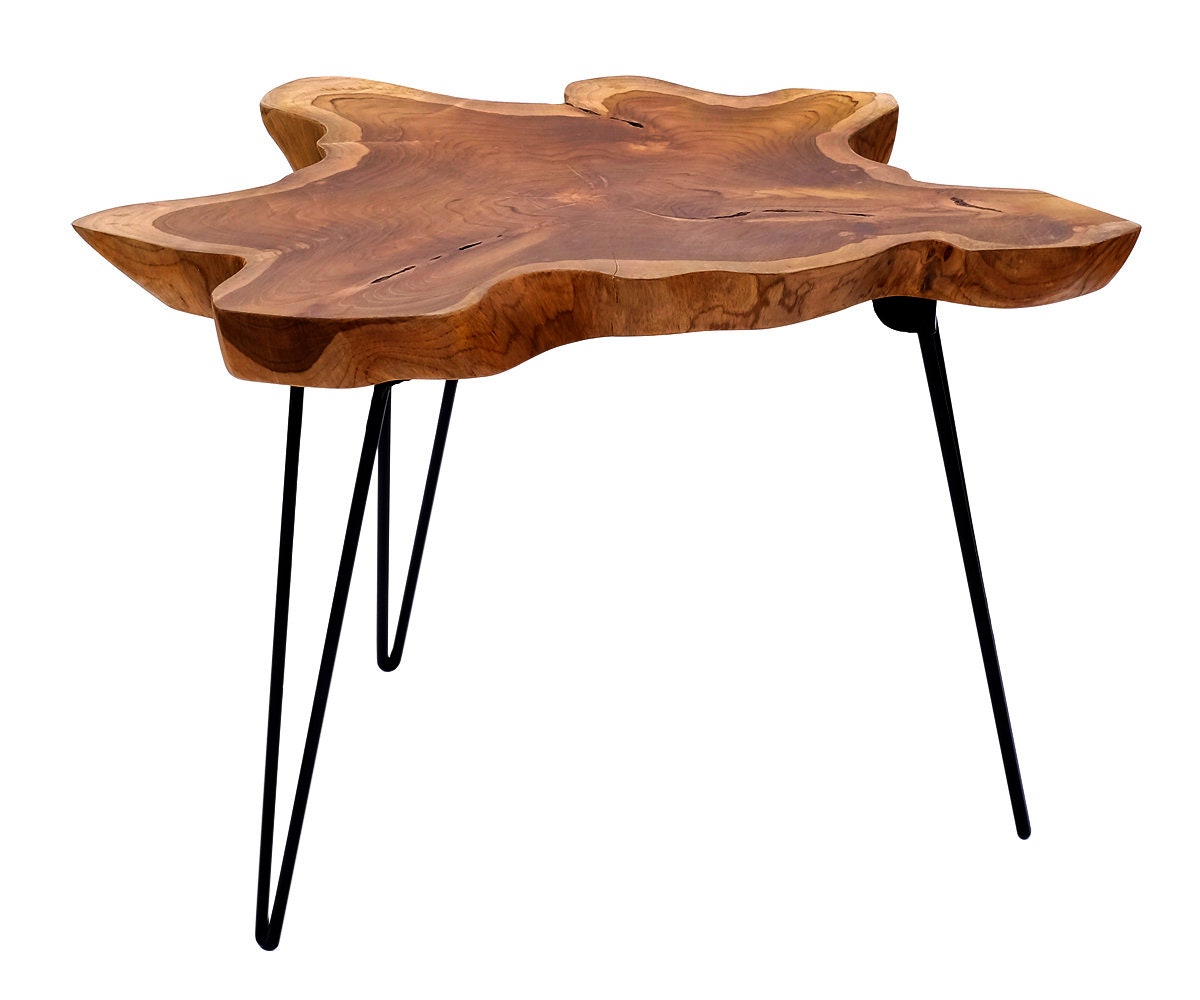 Table Pliante Design en Bois de Teck avec Cadre Métallique Table d'appoint Basse Pliable Salon Uniqu