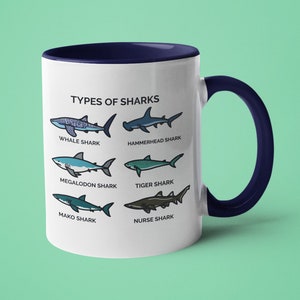 Shark Mug, Shark Lover Gift, Mugs for Men, Types of Sharks