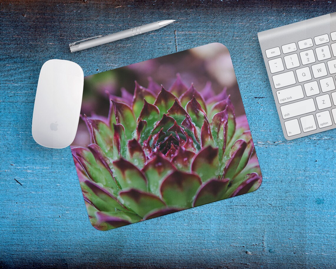 Cactus Succulent Mouse Pad Gift for Gardener or Florist Etsy