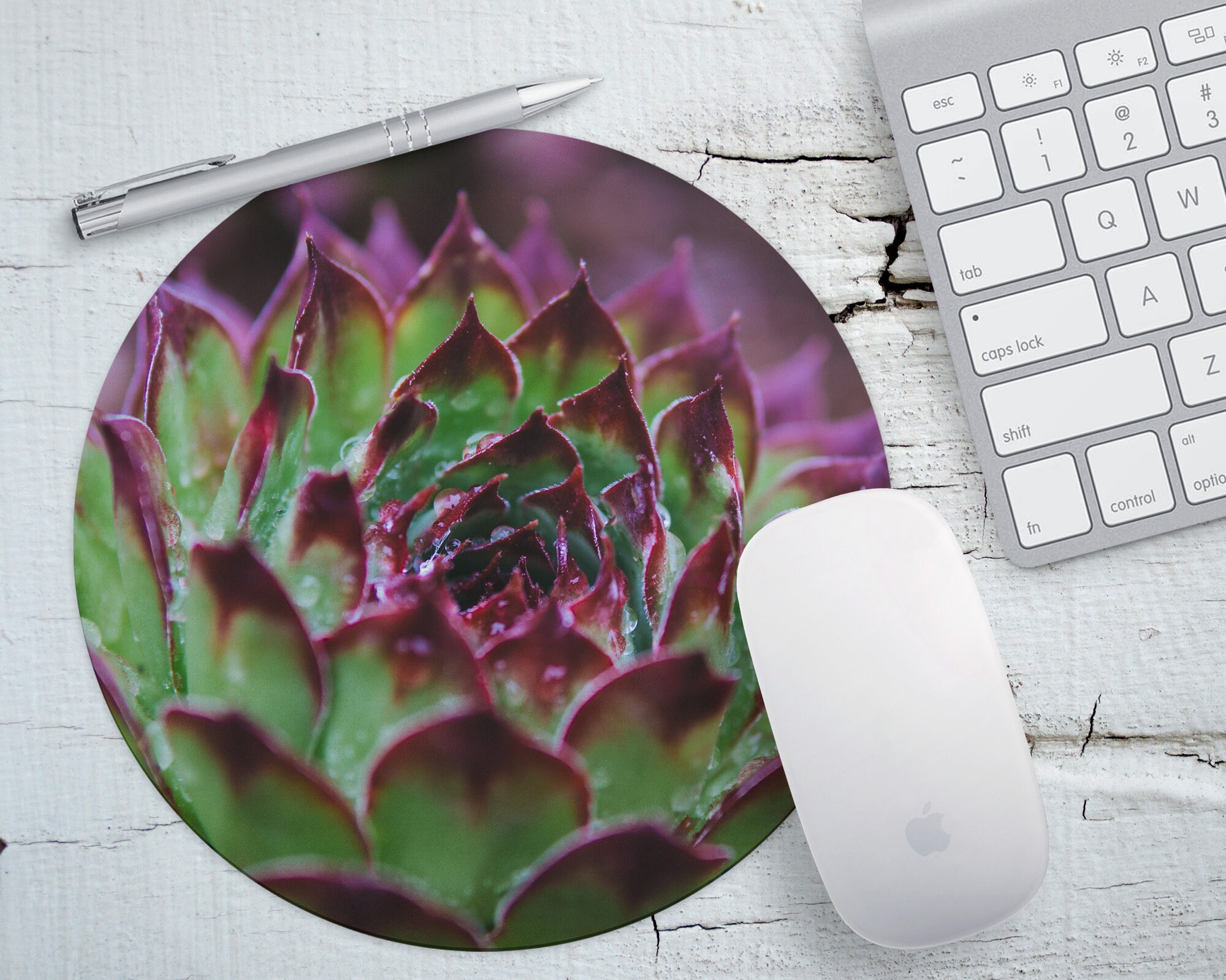 Cactus Succulent Mouse Pad Gift for Gardener or Florist Etsy
