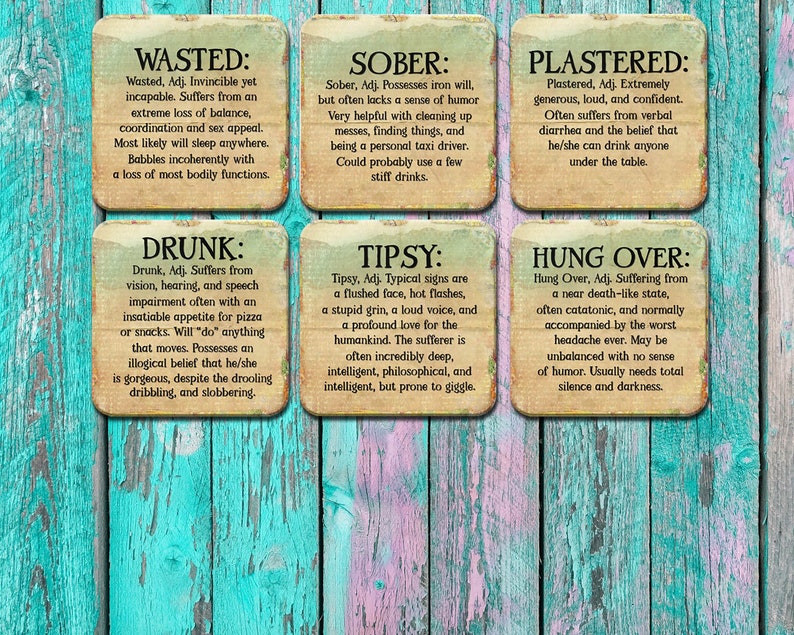 Drunk Tipsy Wasted Plastered Hilarious Coaster Set Funny Etsy