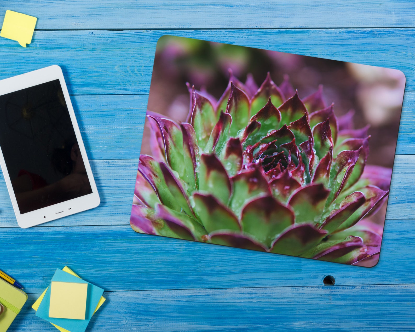 Cactus Succulent Mouse Pad Gift for Gardener or Florist Etsy