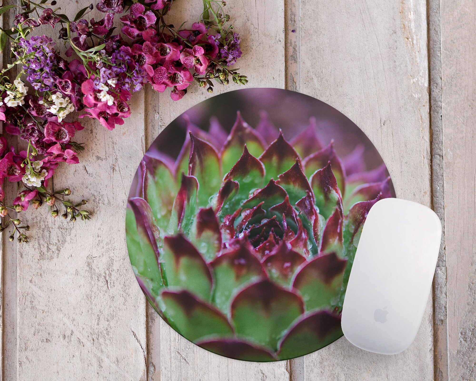 Cactus Succulent Mouse Pad Gift for Gardener or Florist Etsy