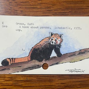 Czerwona Panda Akwarela Ilustracja Karta Katalogowa Sztuka