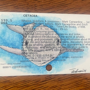 Delfin Oryginalna ilustracja akwarelowa Karta katalogowa Sztuka
