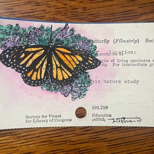Monarch Butterfly Akwarela Ilustracja Karta Katalogowa Sztuka