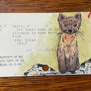 Humboldt Marten Akwarela Ilustracja Karta Katalogowa Sztuka