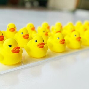 May include: A row of yellow rubber duck toys lined up on a clear surface. The ducks have orange beaks and black eyes.