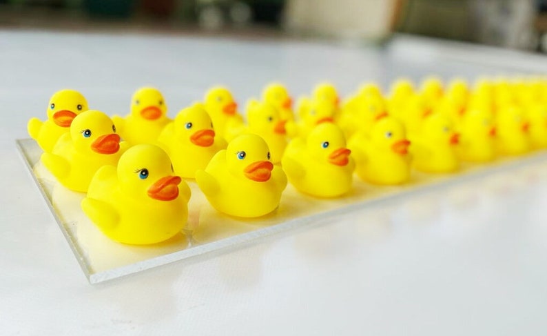 May include: A row of yellow rubber duck toys lined up on a clear surface. The ducks have orange beaks and black eyes.