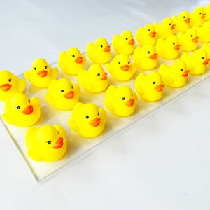May include: A collection of yellow rubber duck toys arranged in a row on a clear surface. The ducks are all facing the same direction and have orange beaks and eyes.