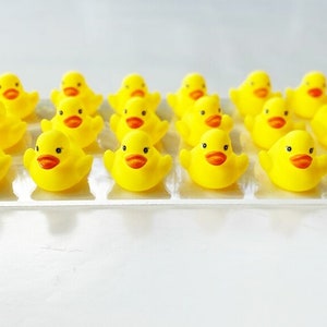 May include: A collection of 20 yellow rubber duckies with orange beaks arranged in rows on a white surface.
