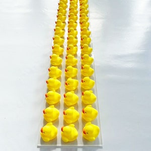 May include: A row of 36 yellow rubber duck toys lined up in two rows on a white surface.