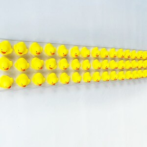 May include: A row of 40 yellow rubber duck toys lined up on a white surface.