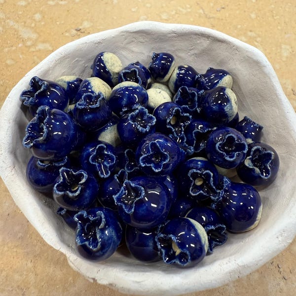 Blueberry Magnets