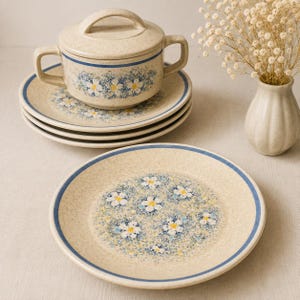 Delicate blue Floral Lenox Temper-Ware Soup Tureen Set: Floral Stoneware, Vintage Made in USA