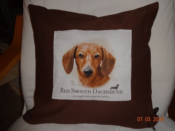 red smooth dachshund