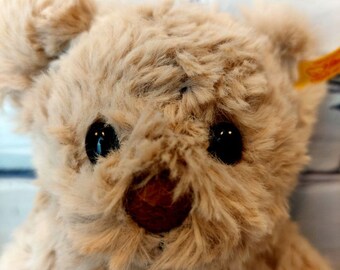 White Steiff Teddy Bear Rare Vintage Made 1956 to 1964 Only 