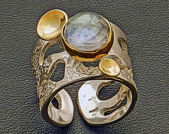 Zilveren en Gouden ring