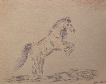 Pen Sketch Horse