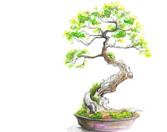 Bonsai Watercolor - Bonsai Tree, Digital Print, Watercolor, Tree Artwork, Original Art, Hand-drawn, Trees, Bonsai Print, Printable Wall Art