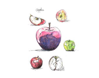 Apple Watercolor - Apple Artwork, Watercolor Fruit, Handdrawn Apples, Original Art, Still Life, Kitchen Art, Fruits, Fruit Painting, No AI