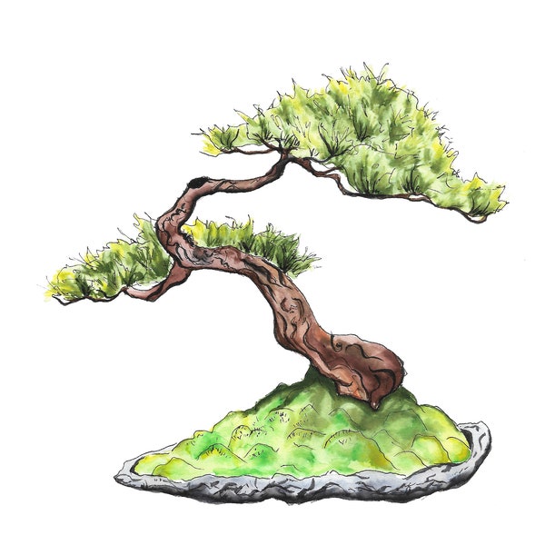 Pine Bonsai  - Digital Print, Watercolor, Tree, Tree Art, Tree Artwork, Download, Drawing, Trees, Bonsai, Printable Wall Art