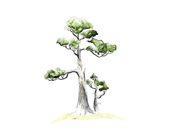 Bonsai Tree Soju Style - Impresión digital, acuarela, impresión de bonsái, arte de árboles, obras de arte de árboles, descargar, dibujo, bonsái, arte de pared imprimible