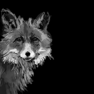 Puede incluir: Una ilustración en blanco y negro de la cabeza y los hombros de un zorro. El zorro está mirando directamente al espectador con una expresión seria. La ilustración está hecha en un estilo de boceto, con pinceladas visibles.