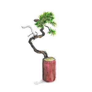 Peut inclure: Une peinture à l'aquarelle d'un bonsaï avec un tronc noueux et un feuillage vert. L'arbre est en pot dans un pot en céramique rouge.