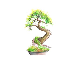 Acuarela de árbol bonsái - Árbol bonsái, Impresión digital, Acuarela, Obra de arte de árbol, Arte original, Dibujado a mano, Árboles, Impresión de bonsái, Arte de pared