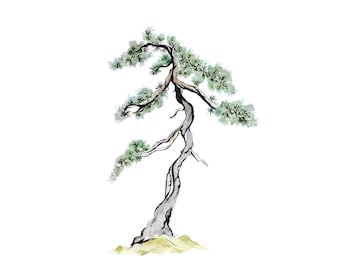Bonsai Tree Blue Atlas Cedar - Impresión digital, acuarela, árbol, arte del árbol, arte del árbol, descargar, dibujo, árboles, bonsái