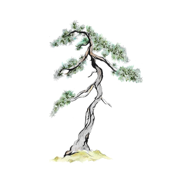 Bonsai Tree Blue Atlas Cedar - Digital Print, Watercolor, Tree, Tree Art, Tree Artwork, Download, Drawing, Trees, Bonsai