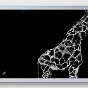 Giraffe - Digital Print, Drawing, Black and White, Painting, Artwork, Wall Art, Download, Prints, Hanging, Africa, Animals, Giraffes