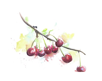 Cherry Watercolor - Fruit Artwork, Watercolor Fruit, Handdrawn Cherries, Original Art, Still Life, Kitchen Art, Fruits, Fruit Painting