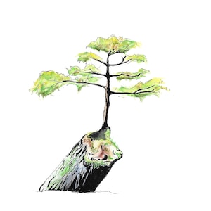 Tree on Stump - Digital Print, Watercolor, Tree, Tree Art, Tree Artwork, Download, Drawing, Trees, Watercolor Tree, Printable Wall Art