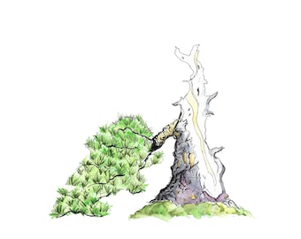 Característica de Bonsai Pine Deadwood - Impresión digital, acuarela, arte de árboles, obras de arte de árboles, descargar, dibujo, árboles, impresión de bonsái, arte de pared imprimible
