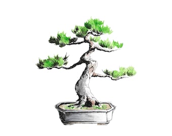 Bonsái de pino blanco japonés - Impresión digital, acuarela, arte de árboles, ilustraciones de árboles, descarga, dibujo, árboles, impresión de bonsái, arte mural imprimible