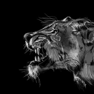 Lion Fangs - Digital Print, Printable, Lion Prints, African Animals, Lion Wall Art, Lions, Black and White, Illustration Drawing Painting