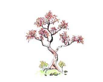 Colores de otoño del árbol bonsái - Impresión digital, acuarela, árbol, arte del árbol, ilustraciones del árbol, descargar, dibujo, árboles, bonsái