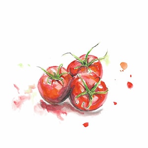 Tomato Painting - Original Watercolor, Fruit Art, Vegetable Art, Tomatoes, Kitchen Art, Still life Painting, Tomato Drawing, Hand Drawn