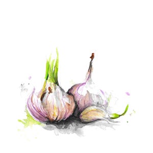 Garlic Painting - Digital Download, Watercolor, Food Themed Artwork, Watercolor Still Life, Kitchen Decor, Vegetables, Fine Art, 5 Ratios