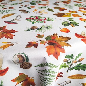 Precioso mantel de algodón de alta calidad, manta central XXL, rectangular, redondo, elegante, grande, largo, castaño, seta, hoja de arce, bosque otoñal, naturaleza