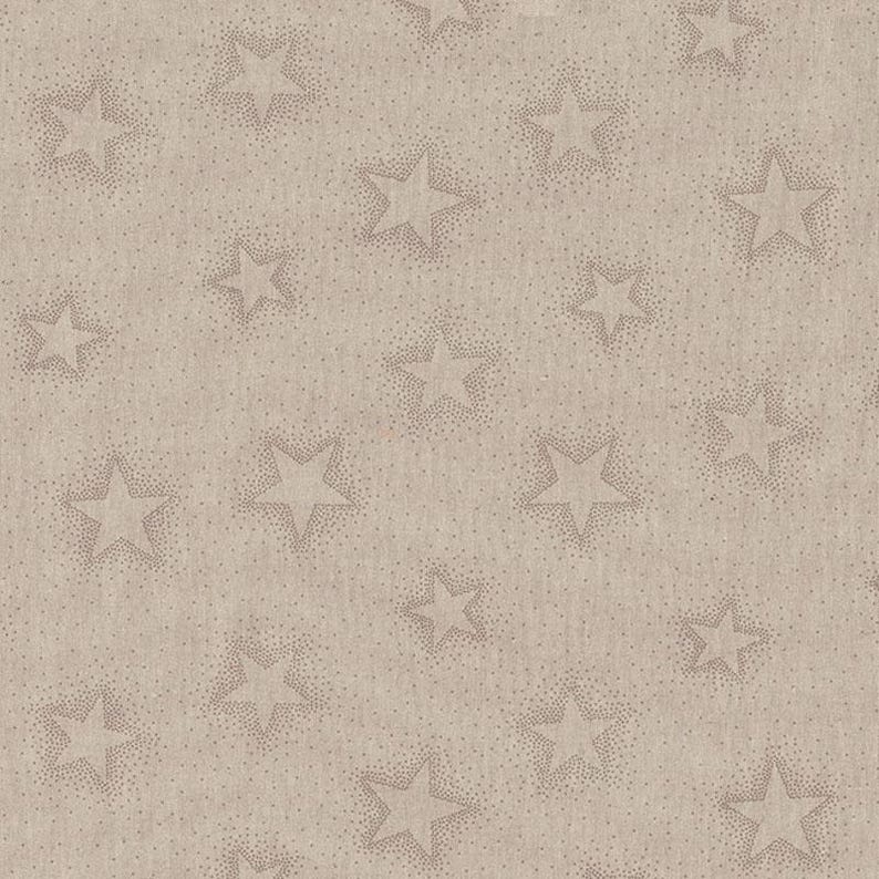 XXL table runner/centerpiece in 31 patterns, up to 4.2 m long x 40 cm wide, simple or playful, canvas, cotton, linen look, winter table decoration FUNKELNDER STERN