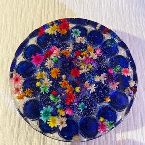 Wet Felting Tool: Rainbow