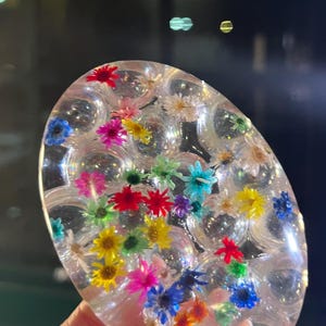 Wet Felting Tool: Oval Rainbow